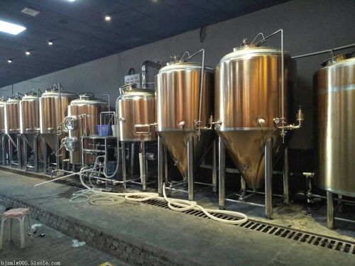 全自動(dòng)精釀啤酒設(shè)備生產(chǎn)廠家,啤酒廠啤酒設(shè)備